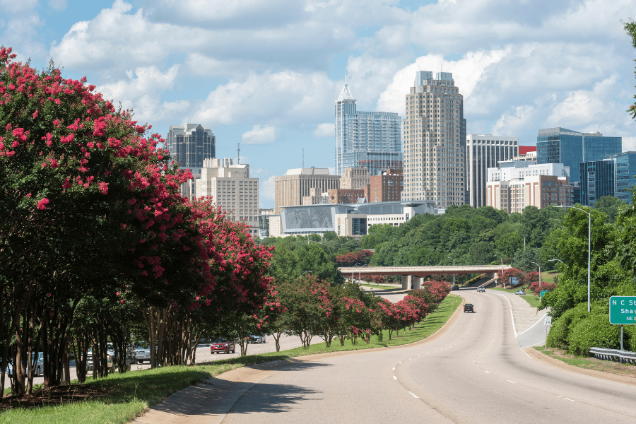 Raleigh, NC Skyline in the spring with beautiful colorful crepe myrtles