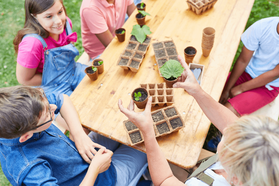 A Mom showing children different plants on a picnic table
