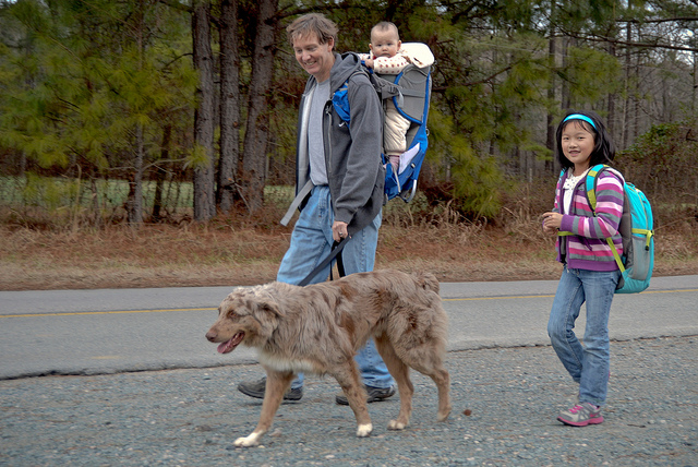 Wake County NC Dog Walking Parks