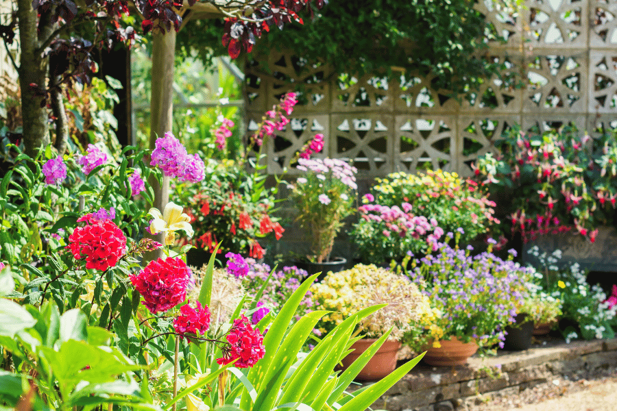 10 Tips To Help Your Garden Survive Summer