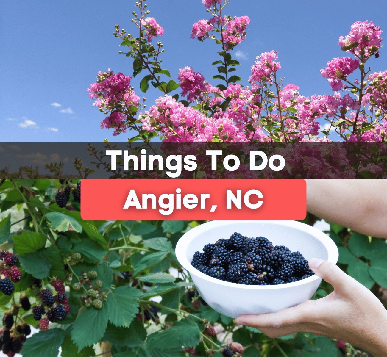 17 Fun Things To Do In Angier, NC
