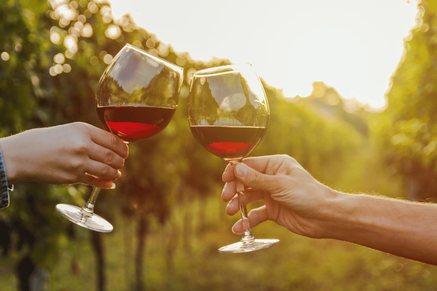 10 Best Wineries and Wine Tastings in Raleigh, NC