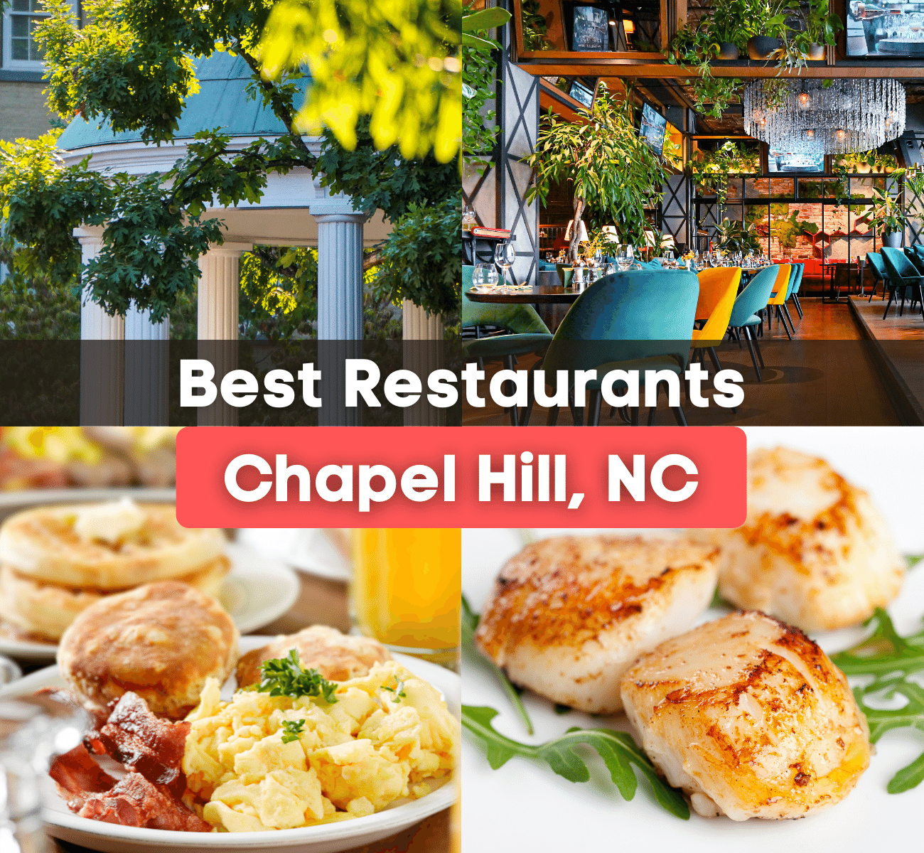 15 Best Restaurants in Chapel Hill, North Carolina