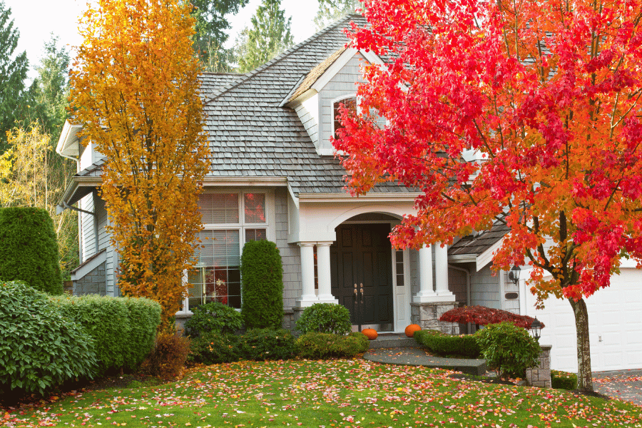 10 Fall Maintenance Tips For Homeowners