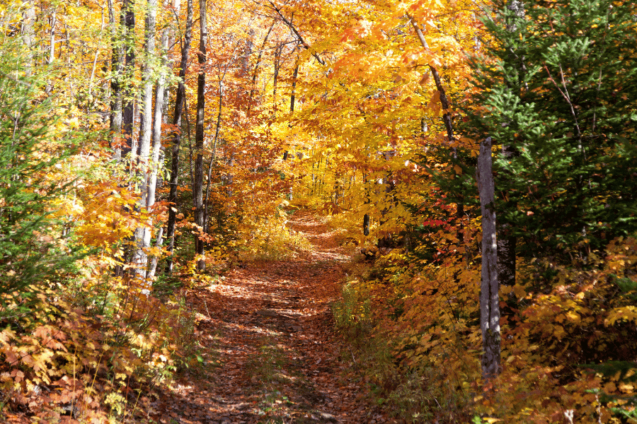 10 Favorite Fall Hikes in Raleigh, NC