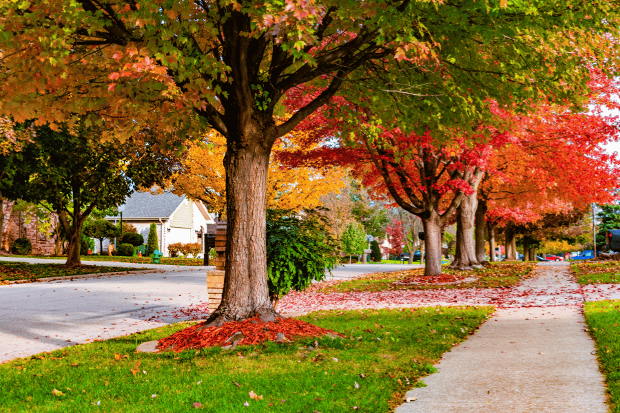 10 Top Walkable Communities in Raleigh, NC