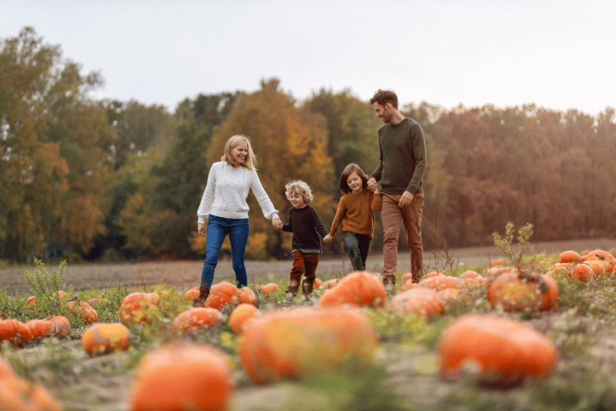 10 Best Pumpkin Patches and Corn Mazes Near Raleigh, NC