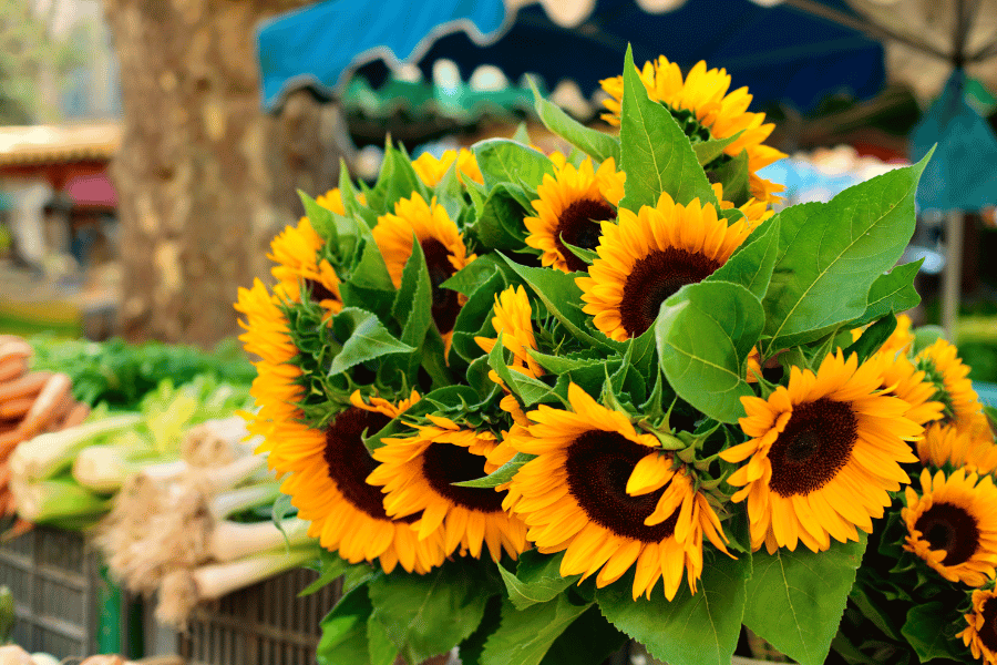 Beautiful Sunflowers and Fresh Produce at Farmers Market 