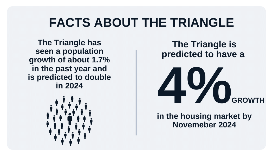 Facts about the Triangle Area
