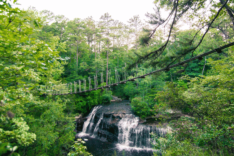 zipquest suspension bridge and waterfall