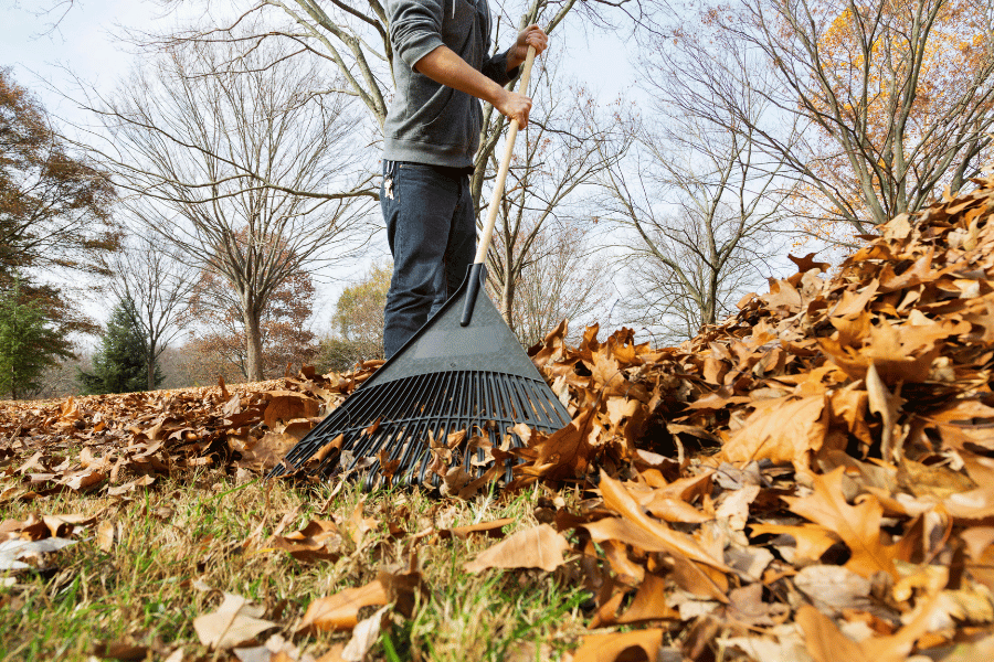 homeowner raking leaves outside in the fall 