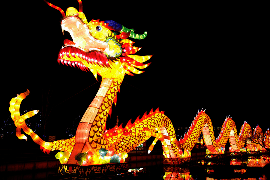 Don't miss out on the amazing dragon at the festival