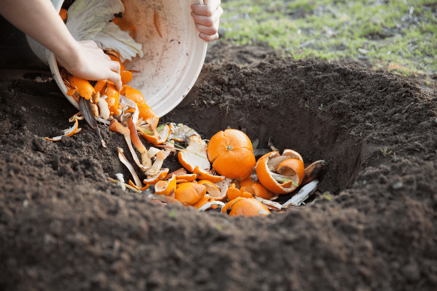 Composting can help keep your lawn green