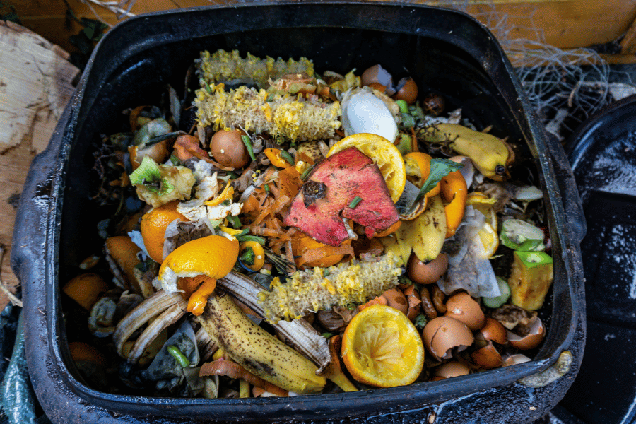 compost pile at home in a trash bin