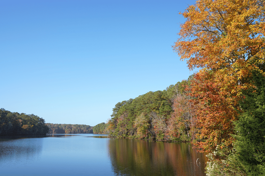 Lake Johnson Park in Raleigh during fall 