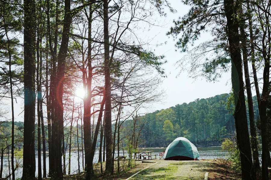Campsite at Jordan Lake with a tent near the water surrounded by tall trees