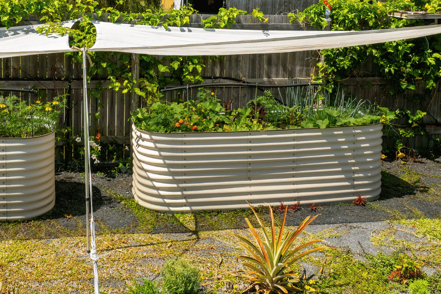 Covering the backyard garden to provide with shade 