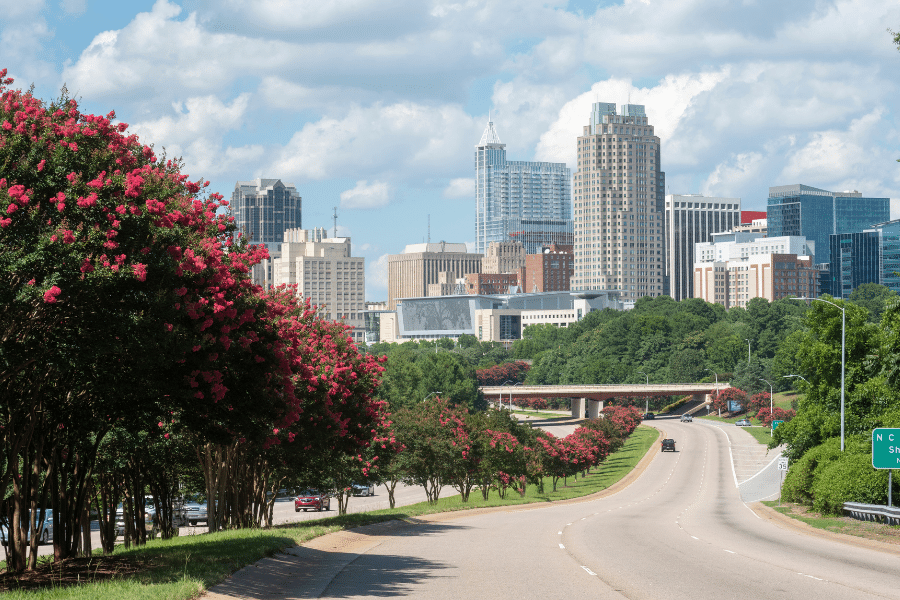 View of Raleigh