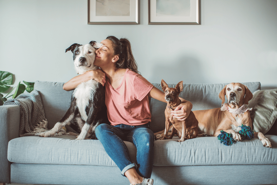 woman with three dogs sitting on the living room couch