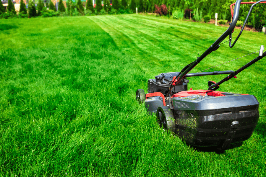 Mow your lawn carefully