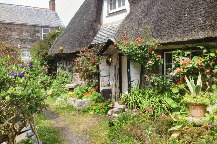 english cottage with greenery up the siding