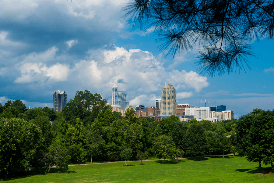 View of Raleigh from Dorthea Dix Park