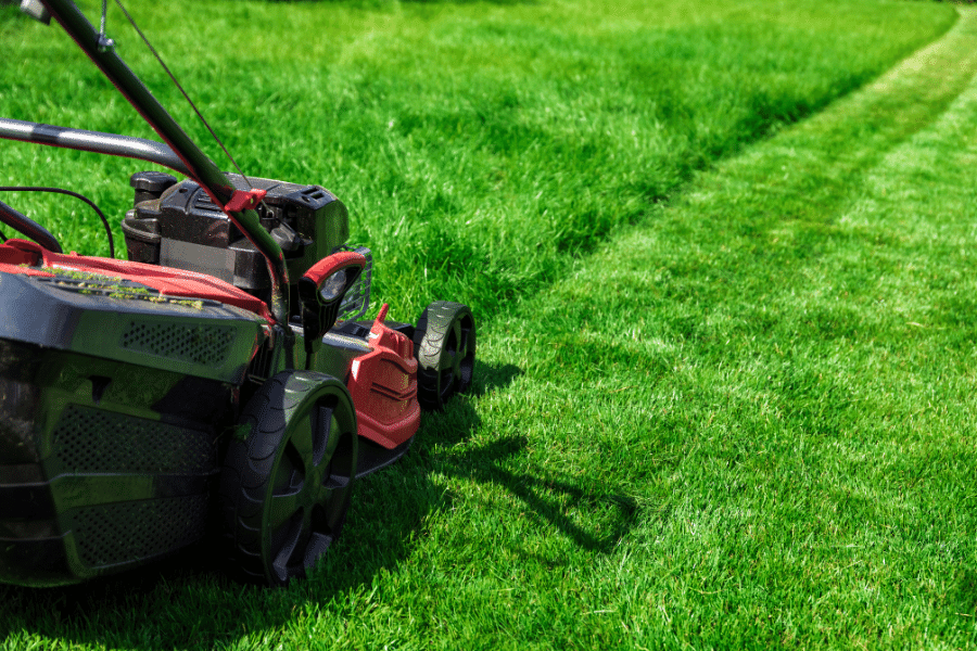 mowing the lawn with a push mower