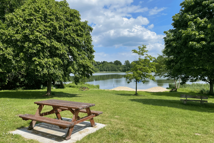 Apex is home to many beautiful parks with picnic tables and open green spaces