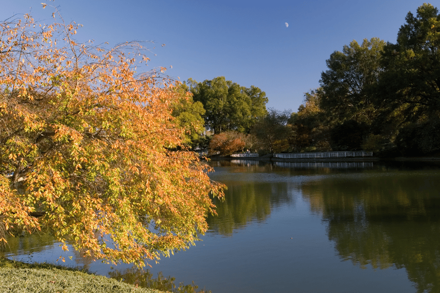 view of the lake at Pullen Park in Raleigh, NC