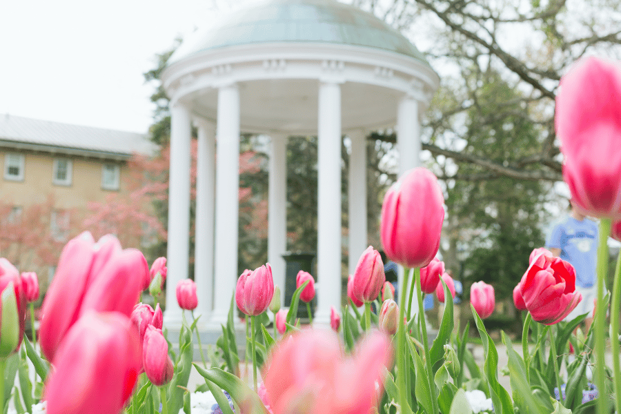 Old Well at UNC Chapel Hill campus with beautiful flowers