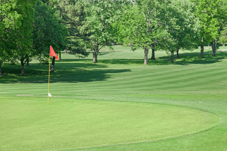 green golf course with red flag in the hole