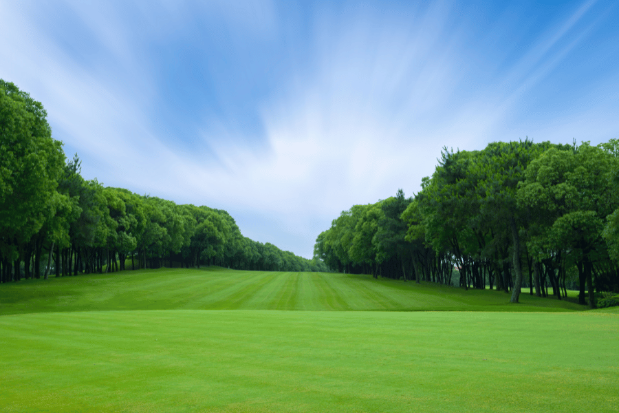 beautiful and scenic golf course with lush greenery
