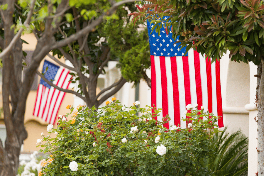 American Flags on Front Porches and lush plants and greenery