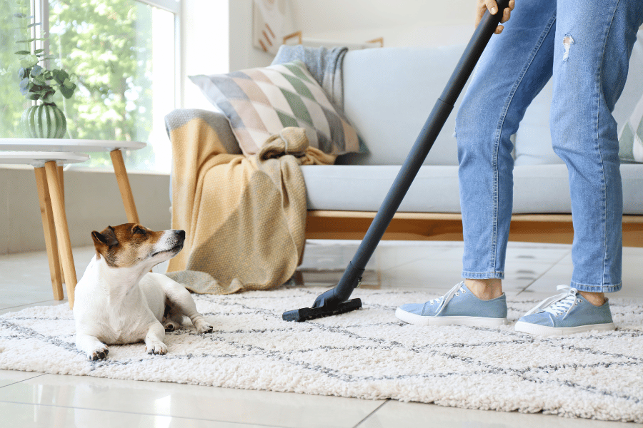 Pet-Proof Flooring