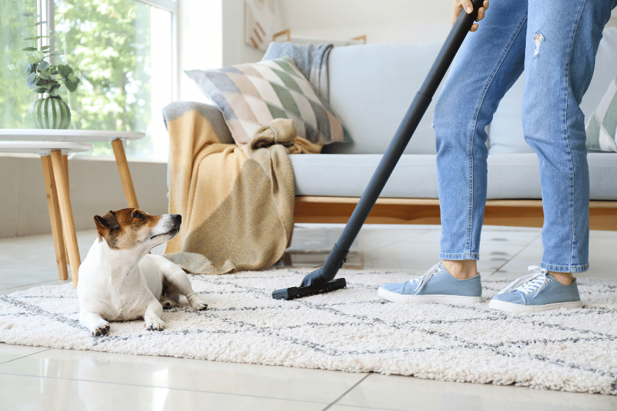 vacuuming and cleaning home with dog