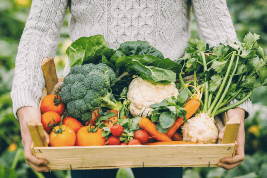 individual holding fresh vegetables in a basket 