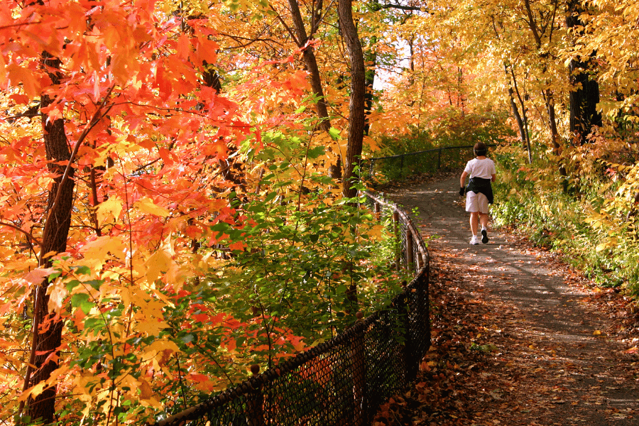 walking in the fall surrounded by colorful leaves 