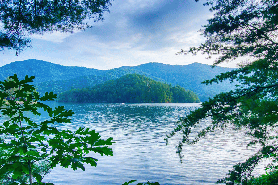 Mountain lake view with trees and pretty sky