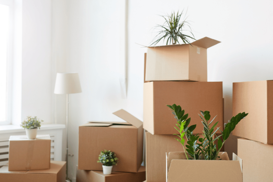 moving boxes and plants when moving to a new home
