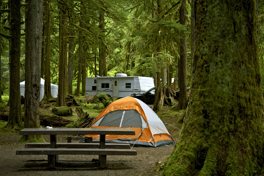camping in woods with tent, rv, picnic table
