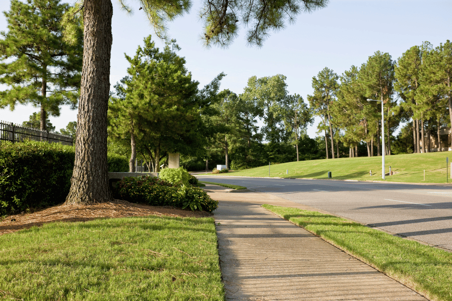 well-maintained sidewalk in a neighborhood with lush greenery