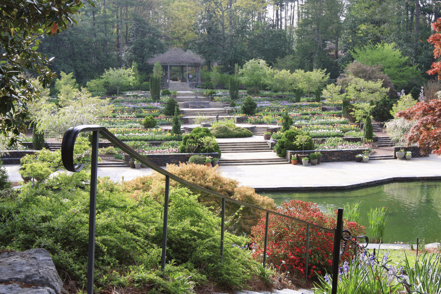 Duke University Garden greenery and flowers overview of paths
