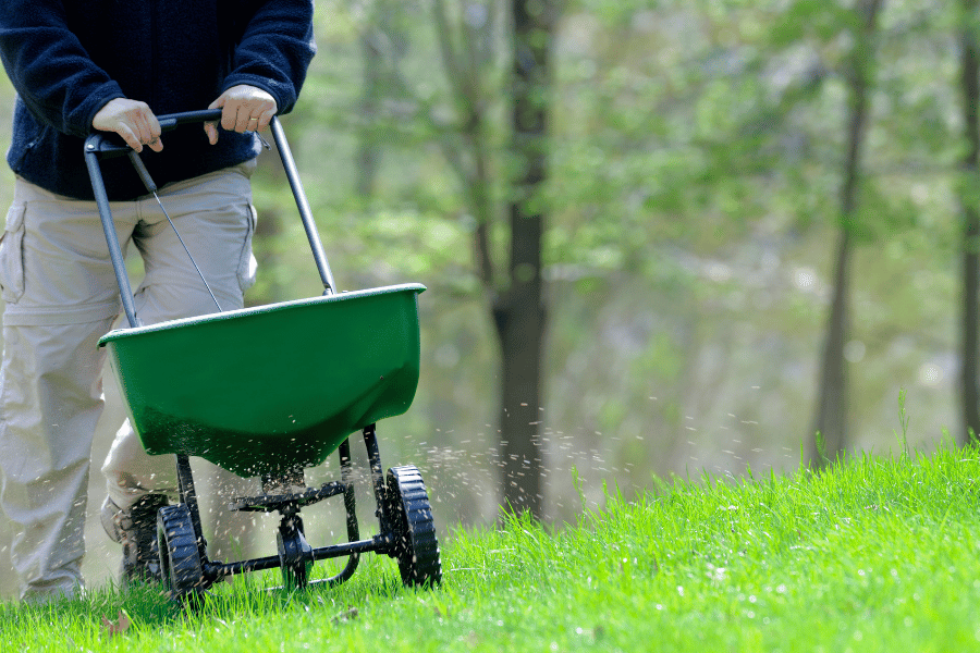 Fertilize your lawn to keep it green