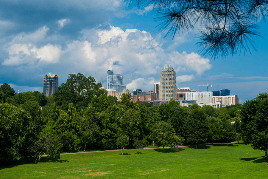 View of Downtown Raleigh from park with buildings behind
