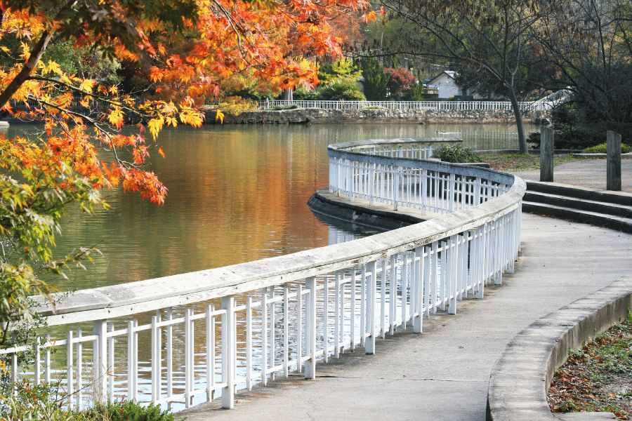 Pullen Park in Raleigh on a beautiful fall day with colorful leaves near the water and a walkway