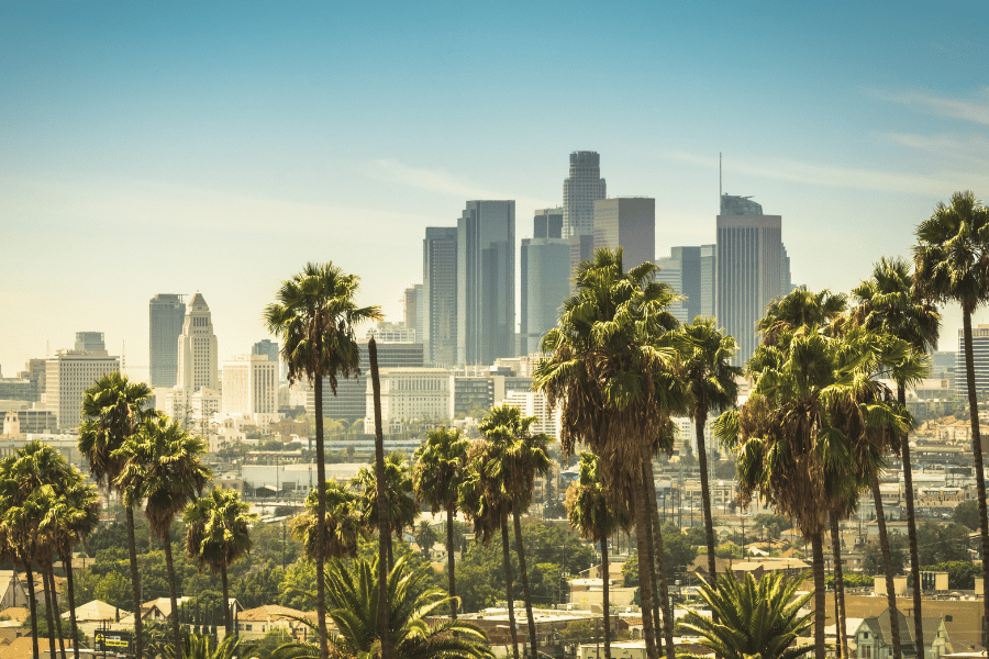 Los Angeles CA palm trees and building view