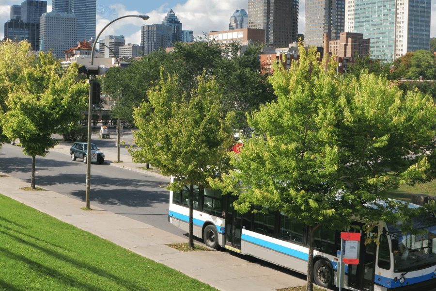 Public bus stop in downtown with lines of trees