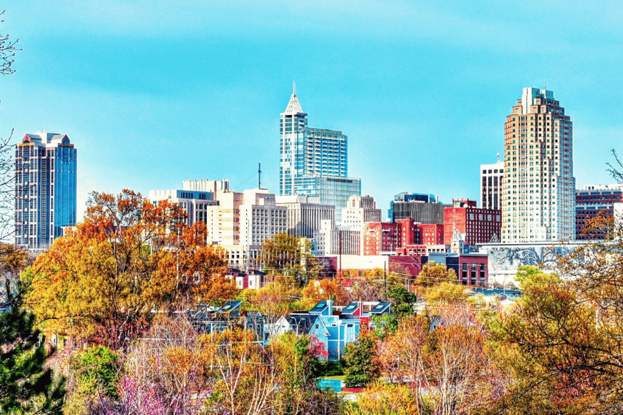 View of downtown Raleigh buildings with orange trees in the foreground