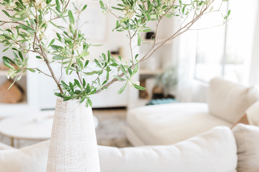 bright white living room with green plant in the foreground