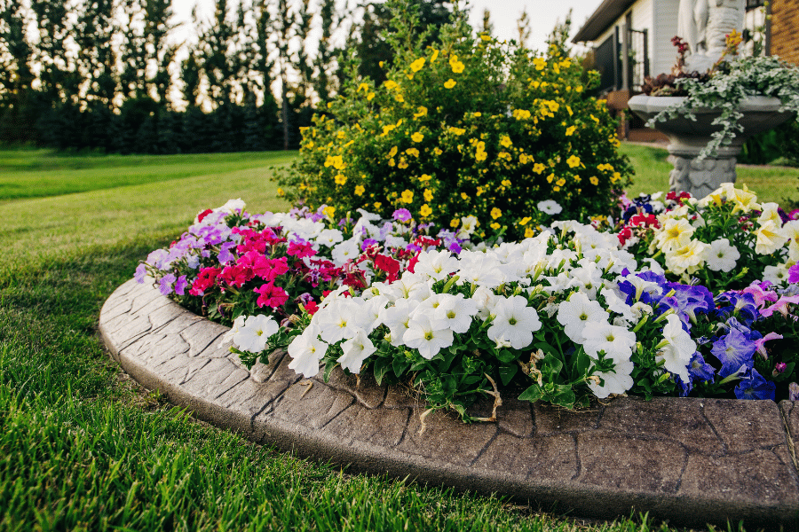 enhance curb appeal with brightly colored flowers 